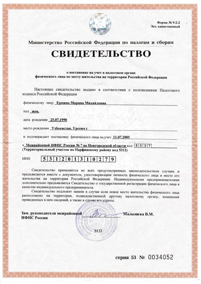 ИНН ИП Ермина Марина Михайловна