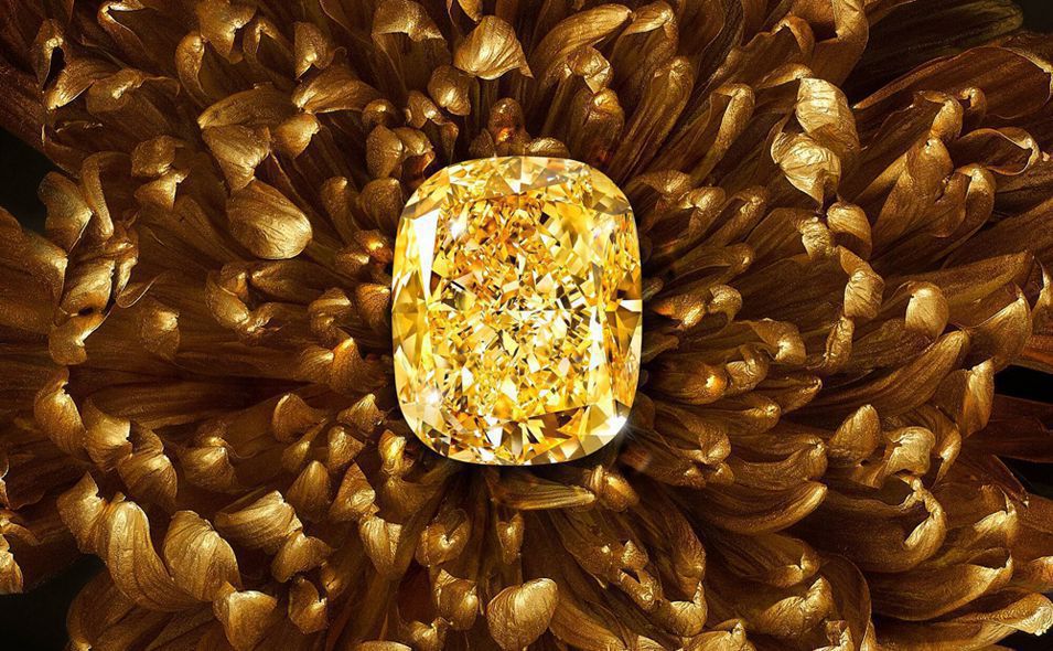 Желтые бриллианты - акценты золотой осени