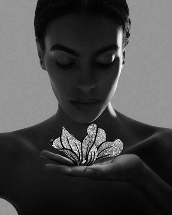 Украшения Boucheron Carte Blanche Impermanence Composition N°4 и Composition N°3