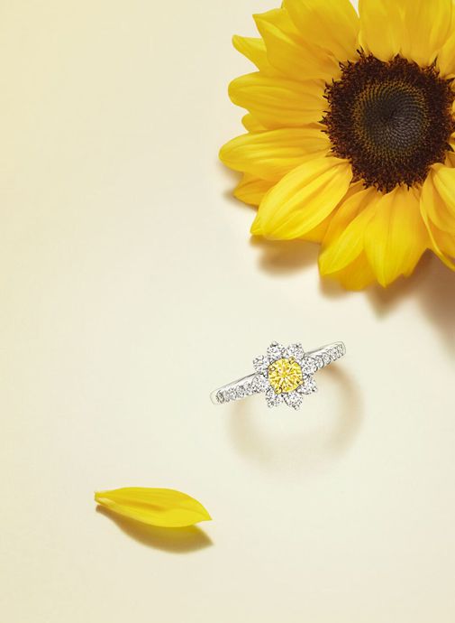 Украшения Harry Winston Sunflower с желтыми бриллиантами
