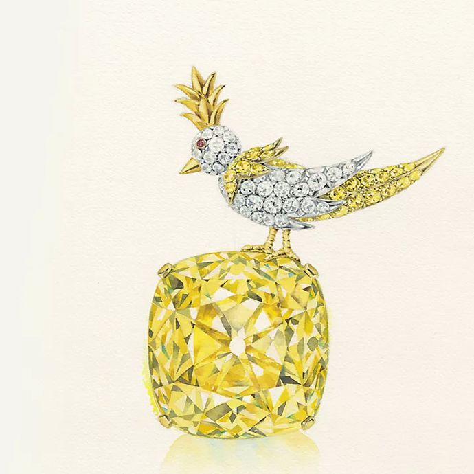 Культовые дизайны Жана Шлюмберже: кольца и браслеты Sixteen-Stone, броши Bird On A Rock и Fish, запонки Acorn