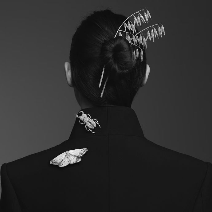 Броши Lucane («Жук-олень») и Papillon de nuit («Ночной мотылек»), украшение для волос Avoine («Овес»)