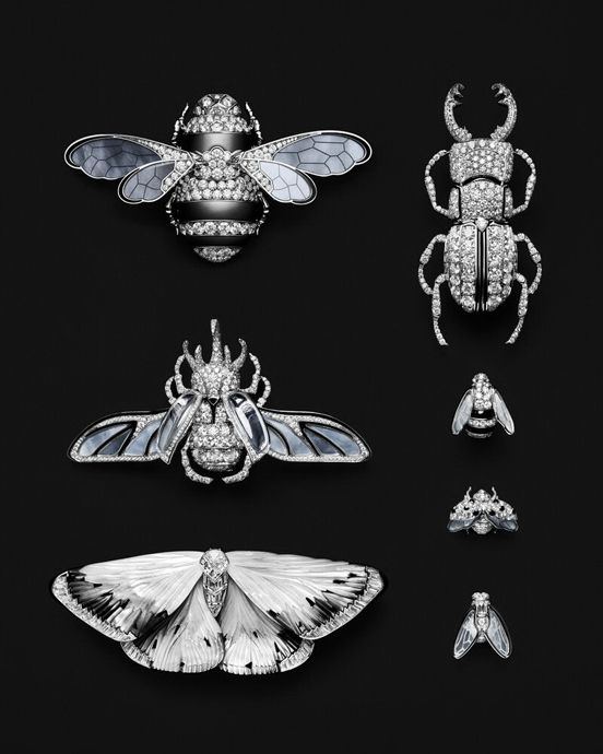 Драгоценные растения и насекомые коллекции Untamed Nature