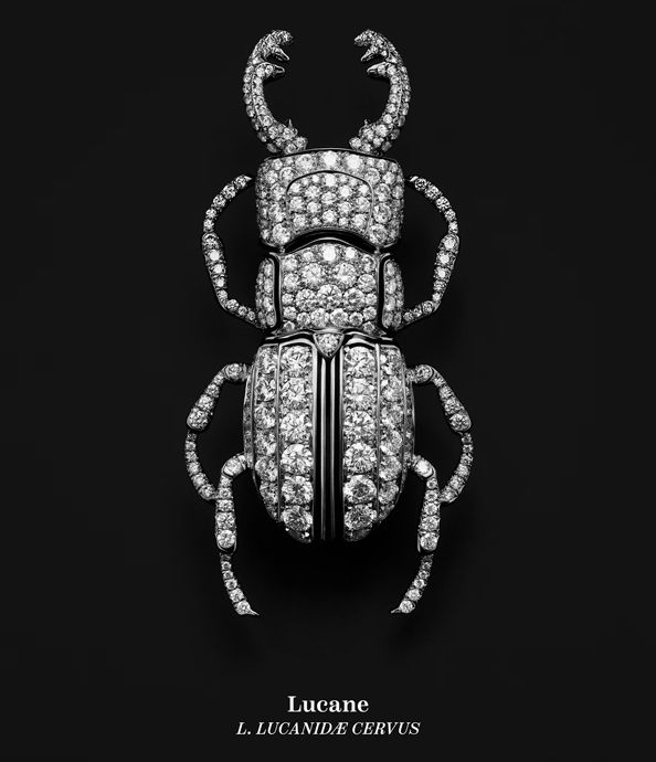 Броши Lucane («Жук-олень») и Papillon de nuit («Ночной мотылек»), украшение для волос Avoine («Овес»)